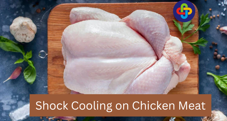 Effect of Shock Cooling on Chicken Meat Quality